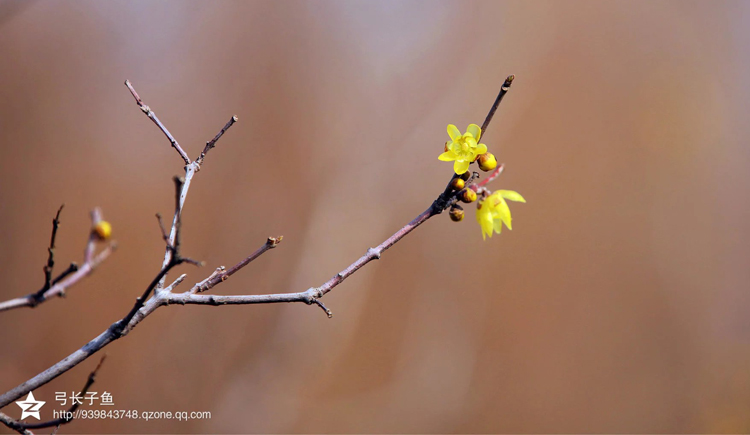 木鱼说的个人主页（封面预览） - 主页封面设置 - 站酷设计师木鱼说原创素材 - 站酷ZCOOL