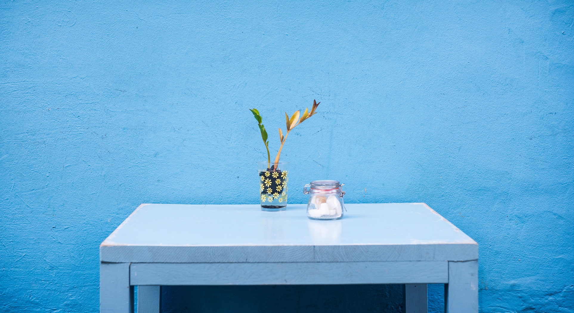 敏子_forever的个人主页（封面预览） - 主页封面设置 - 站酷设计师敏子_forever原创素材 - 站酷ZCOOL