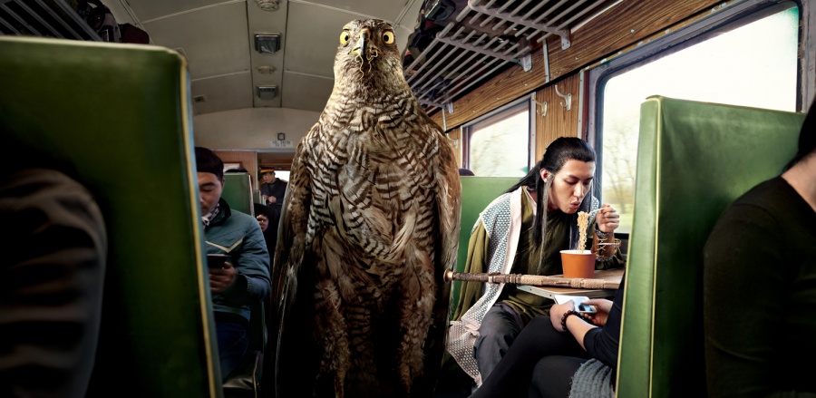 shangfy的个人主页（封面预览） - 主页封面设置 - 站酷设计师shangfy原创素材 - 站酷ZCOOL