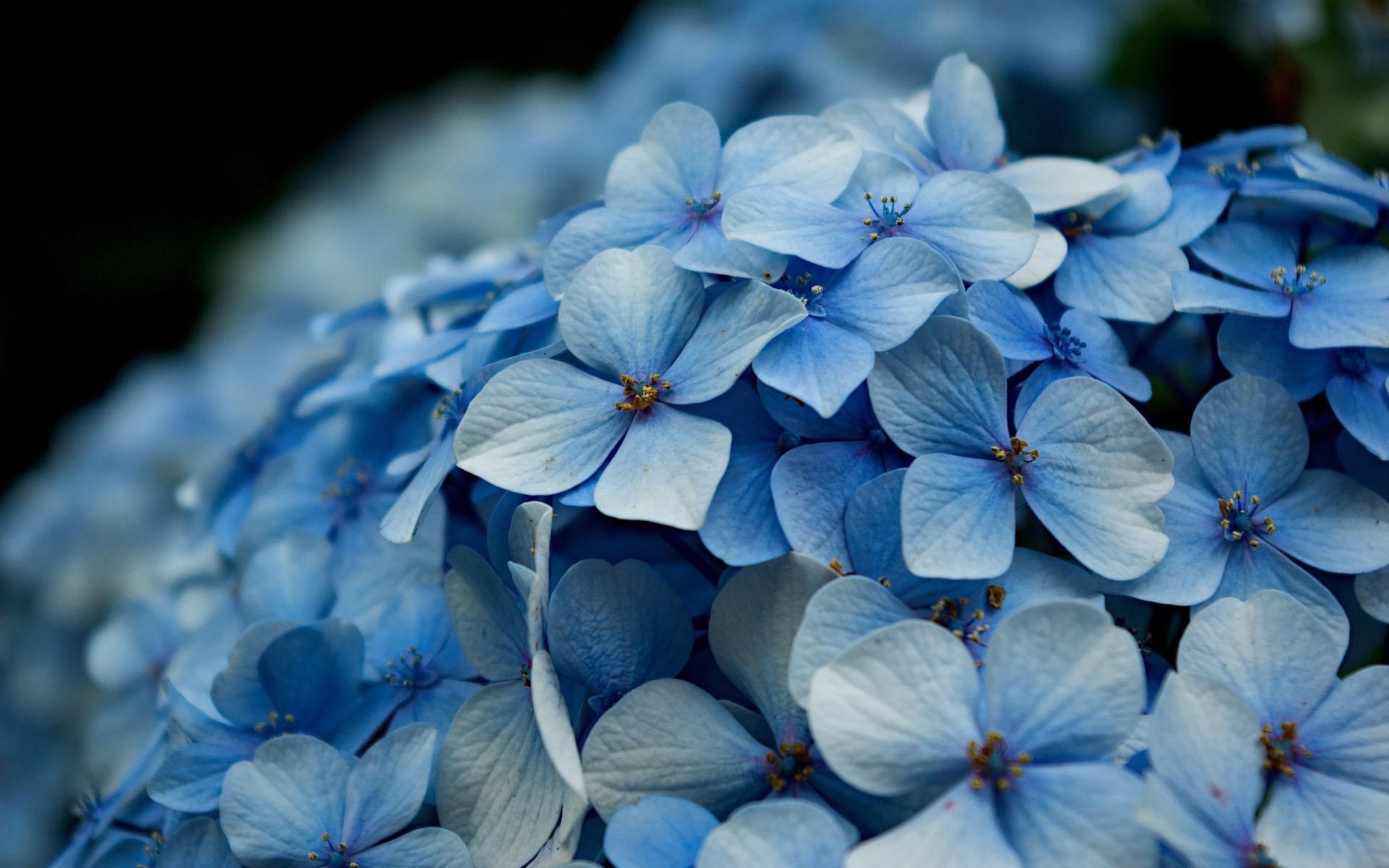 learn一的个人主页（封面预览） - 主页封面设置 - 站酷设计师learn一原创素材 - 站酷ZCOOL