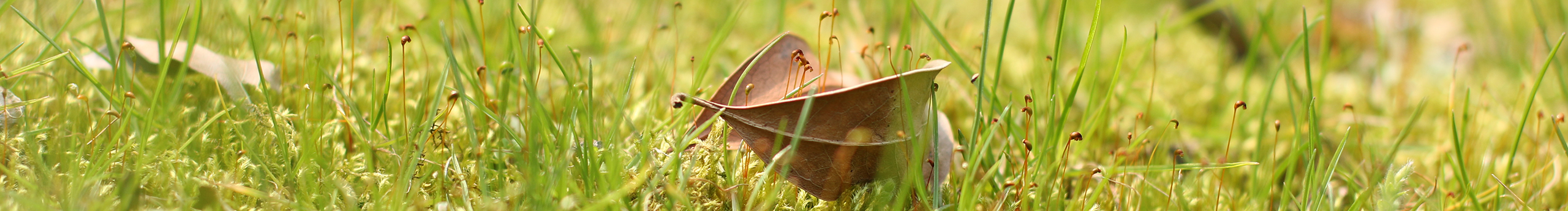 方向向何方的个人主页（封面预览） - 主页封面设置 - 站酷设计师方向向何方原创素材 - 站酷ZCOOL
