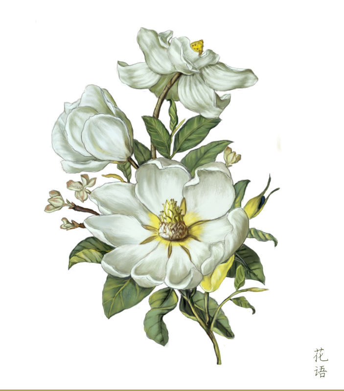 千寻827的个人主页（封面预览） - 主页封面设置 - 站酷设计师千寻827原创素材 - 站酷ZCOOL