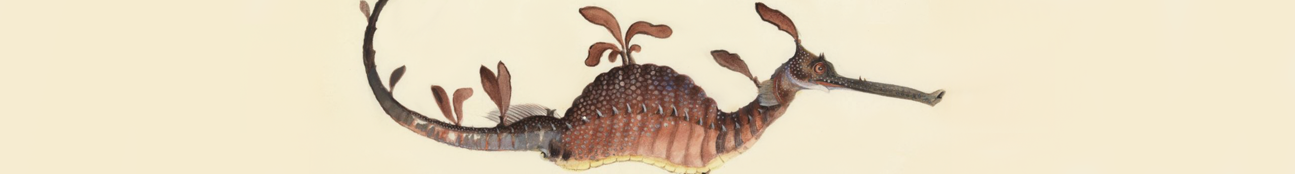 局部氣候的個(gè)人主頁(yè)（封面預(yù)覽） - 主頁(yè)封面設(shè)置 - 站酷設(shè)計(jì)師局部氣候原創(chuàng)素材 - 站酷ZCOOL