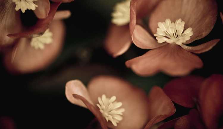 中獎(jiǎng)通知的個(gè)人主頁（封面預(yù)覽） - 主頁封面設(shè)置 - 站酷設(shè)計(jì)師中獎(jiǎng)通知原創(chuàng)素材 - 站酷ZCOOL