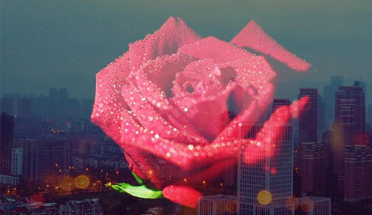 安安920的个人主页（封面预览） - 主页封面设置 - 站酷设计师安安920原创素材 - 站酷ZCOOL