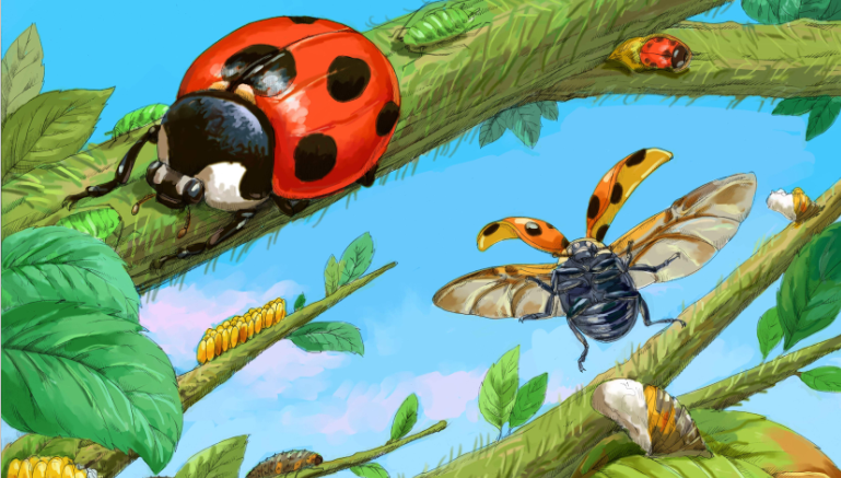 山海的個人主頁（封面預(yù)覽） - 主頁封面設(shè)置 - 站酷設(shè)計師山海原創(chuàng)素材 - 站酷ZCOOL