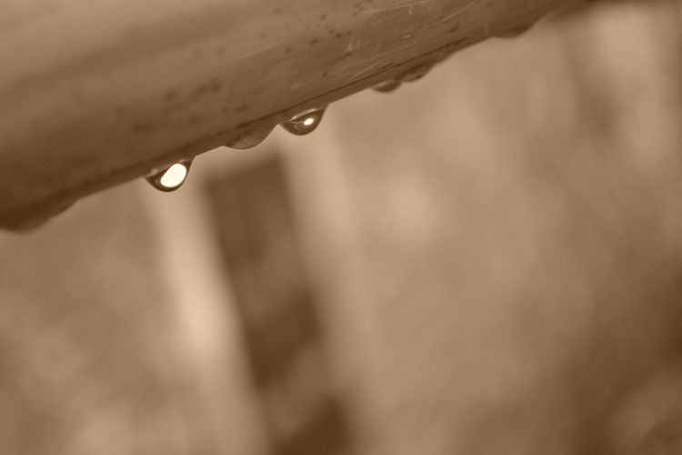 Icyy的个人主页（封面预览） - 主页封面设置 - 站酷设计师Icyy原创素材 - 站酷ZCOOL