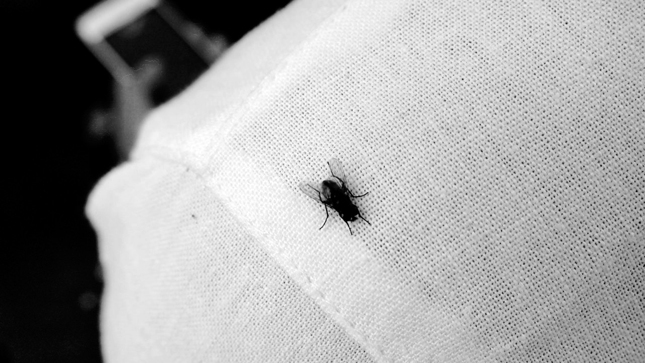 路巖是真名的個人主頁（封面預覽） - 主頁封面設置 - 站酷設計師路巖是真名原創(chuàng)素材 - 站酷ZCOOL