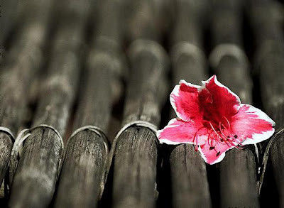 刘晓冬的个人主页（封面预览） - 主页封面设置 - 站酷设计师刘晓冬原创素材 - 站酷ZCOOL