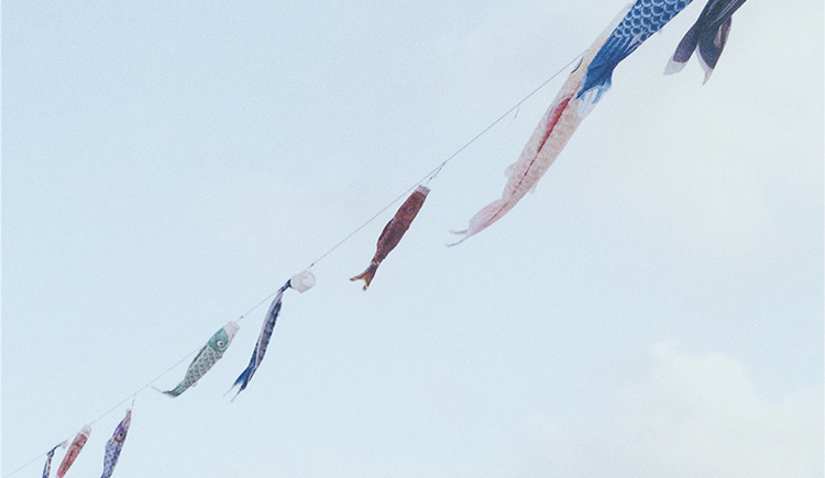 木賊的个人主页（封面预览） - 主页封面设置 - 站酷设计师木賊原创素材 - 站酷ZCOOL