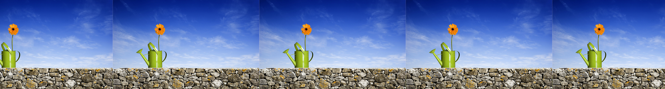 酷酷的二姐的个人主页（封面预览） - 主页封面设置 - 站酷设计师酷酷的二姐原创素材 - 站酷ZCOOL