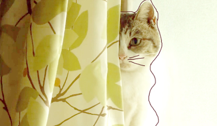 憶語(yǔ)瑜逸的個(gè)人主頁(yè)（封面預(yù)覽） - 主頁(yè)封面設(shè)置 - 站酷設(shè)計(jì)師憶語(yǔ)瑜逸原創(chuàng)素材 - 站酷ZCOOL