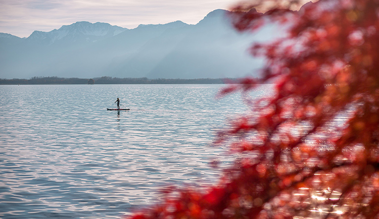 美景傳媒的個(gè)人主頁（封面預(yù)覽） - 主頁封面設(shè)置 - 站酷設(shè)計(jì)師美景傳媒原創(chuàng)素材 - 站酷ZCOOL