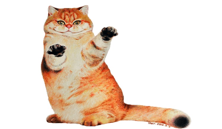 山风猫夏的个人主页（封面预览） - 主页封面设置 - 站酷设计师山风猫夏原创素材 - 站酷ZCOOL