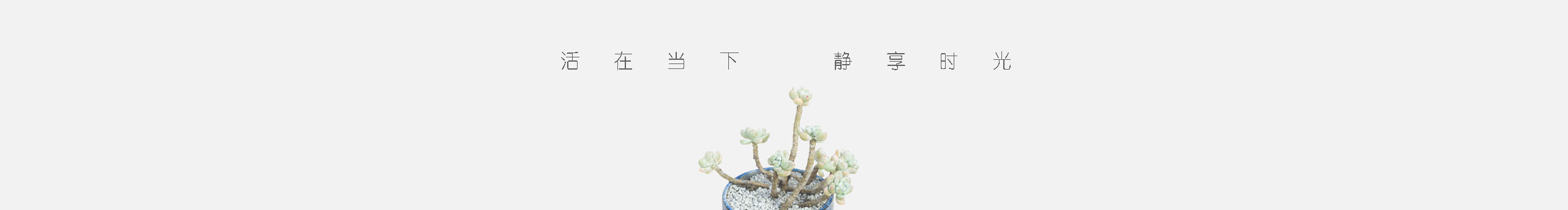 貓膩設(shè)計(jì)的個(gè)人主頁(yè)（封面預(yù)覽） - 主頁(yè)封面設(shè)置 - 站酷設(shè)計(jì)師貓膩設(shè)計(jì)原創(chuàng)素材 - 站酷ZCOOL