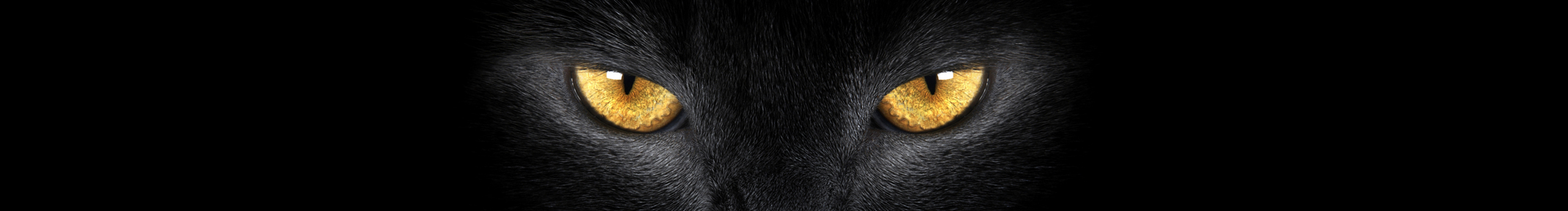 紅伊豆的個人主頁（封面預(yù)覽） - 主頁封面設(shè)置 - 站酷設(shè)計師紅伊豆原創(chuàng)素材 - 站酷ZCOOL