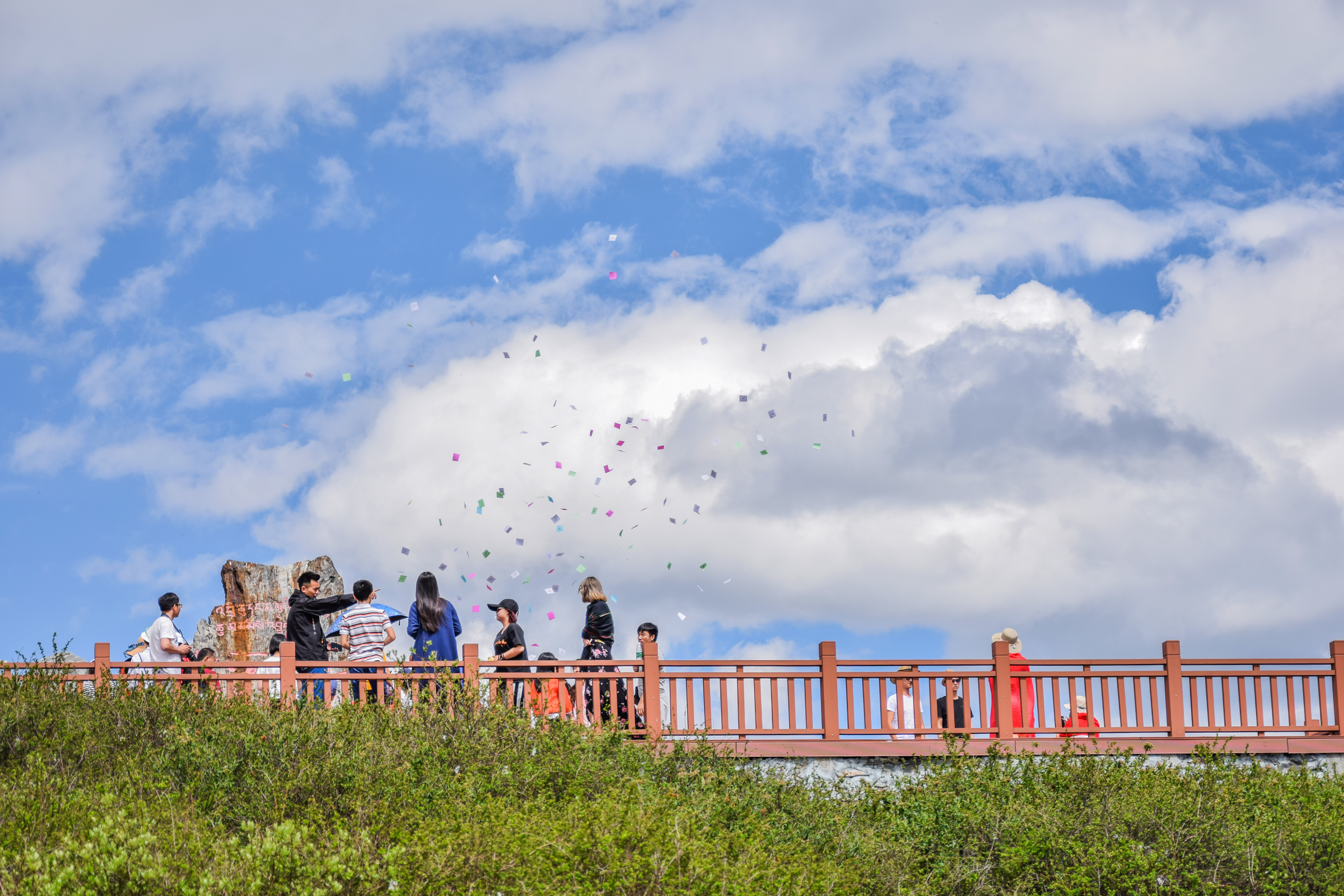 卿念念念的个人主页（封面预览） - 主页封面设置 - 站酷设计师卿念念念原创素材 - 站酷ZCOOL