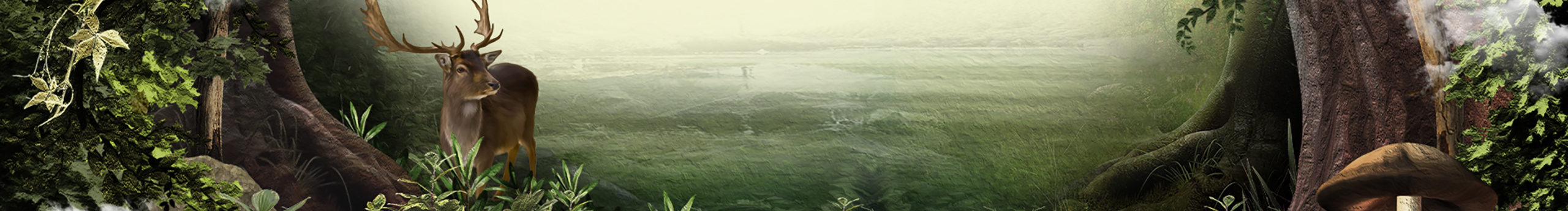 maria此木的个人主页（封面预览） - 主页封面设置 - 站酷设计师maria此木原创素材 - 站酷ZCOOL