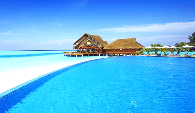 学徒多多指教的个人主页（封面预览） - 主页封面设置 - 站酷设计师学徒多多指教原创素材 - 站酷ZCOOL