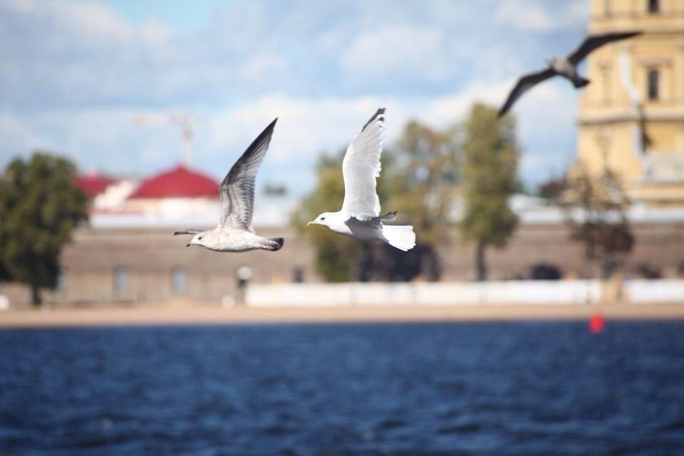 NIEE711的个人主页（封面预览） - 主页封面设置 - 站酷设计师NIEE711原创素材 - 站酷ZCOOL