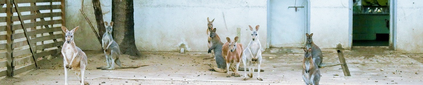 正在做任務(wù)的個人主頁（封面預(yù)覽） - 主頁封面設(shè)置 - 站酷設(shè)計師正在做任務(wù)原創(chuàng)素材 - 站酷ZCOOL