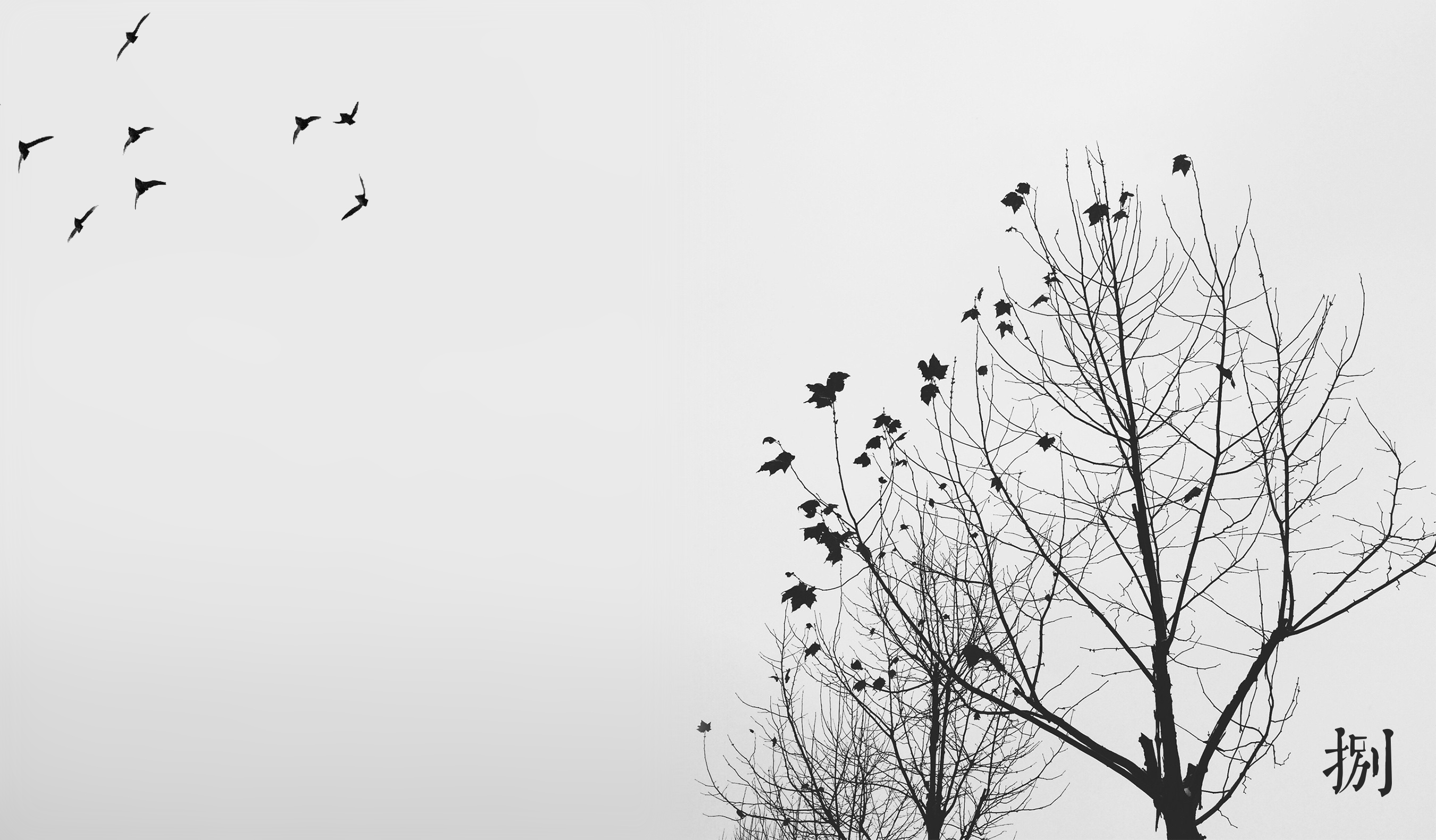 昭君的爸爸的個人主頁（封面預(yù)覽） - 主頁封面設(shè)置 - 站酷設(shè)計師昭君的爸爸原創(chuàng)素材 - 站酷ZCOOL