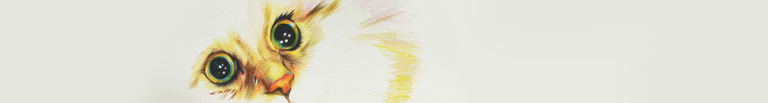 申秋的个人主页（封面预览） - 主页封面设置 - 站酷设计师申秋原创素材 - 站酷ZCOOL