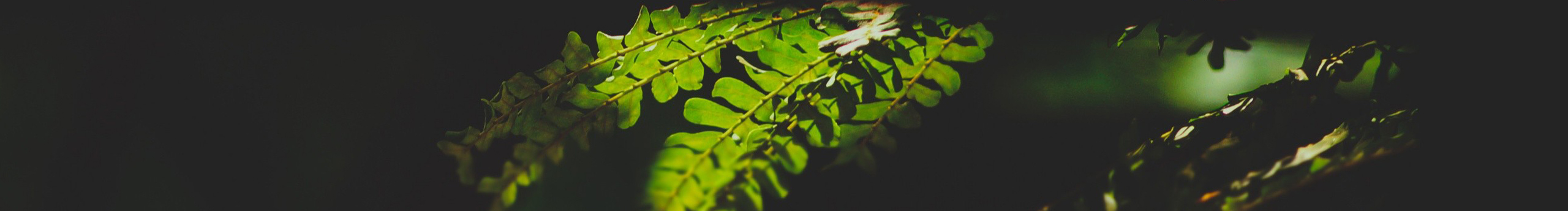 sallyyss的个人主页（封面预览） - 主页封面设置 - 站酷设计师sallyyss原创素材 - 站酷ZCOOL