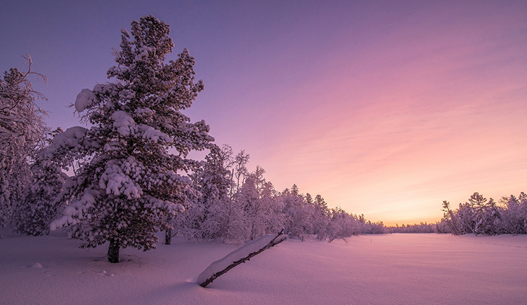 464816177的个人主页（封面预览） - 主页封面设置 - 站酷设计师464816177原创素材 - 站酷ZCOOL