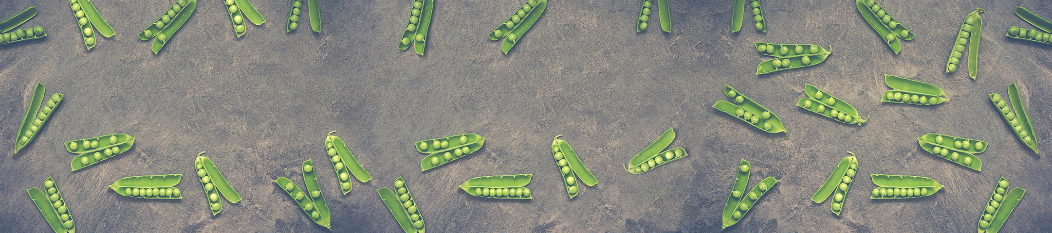 豌豆晓彤的个人主页（封面预览） - 主页封面设置 - 站酷设计师豌豆晓彤原创素材 - 站酷ZCOOL