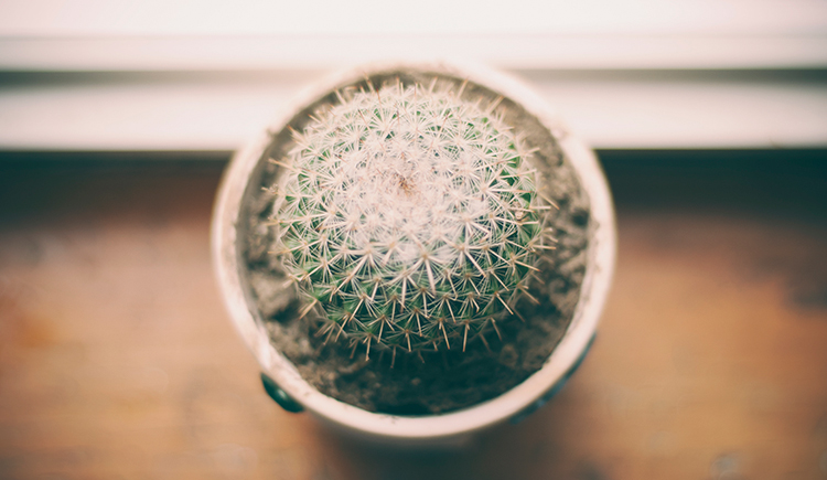 我出没熊注意的个人主页（封面预览） - 主页封面设置 - 站酷设计师我出没熊注意原创素材 - 站酷ZCOOL