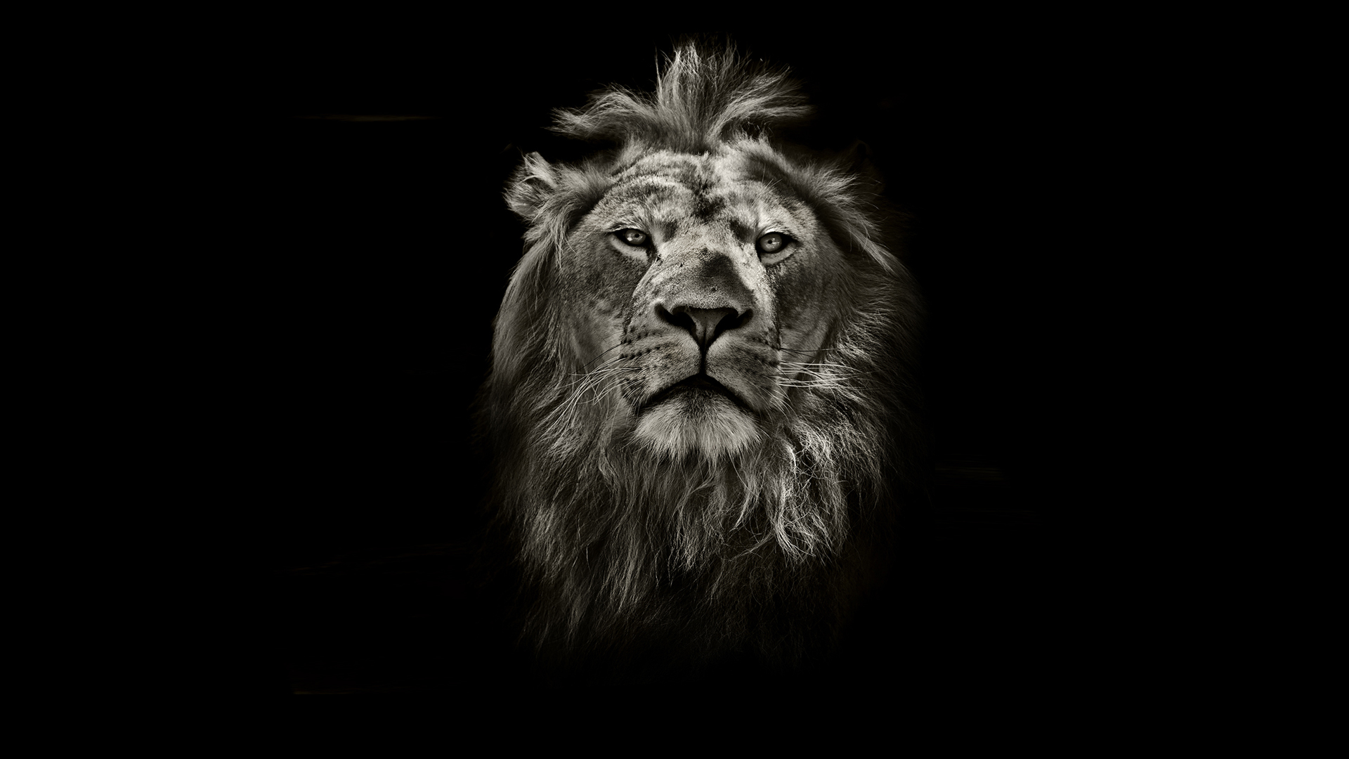 lzx_Ronnie的个人主页（封面预览） - 主页封面设置 - 站酷设计师lzx_Ronnie原创素材 - 站酷ZCOOL