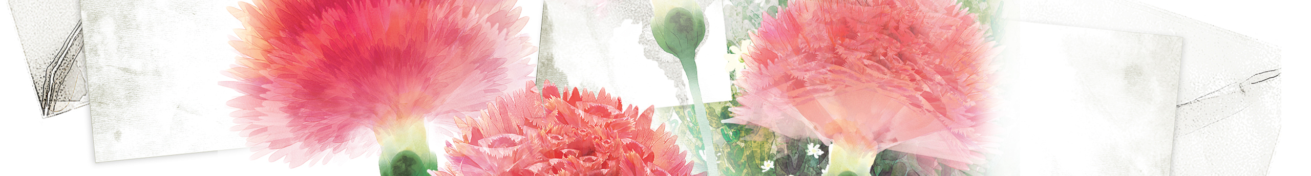 南笙姑娘的個人主頁（封面預(yù)覽） - 主頁封面設(shè)置 - 站酷設(shè)計師南笙姑娘原創(chuàng)素材 - 站酷ZCOOL