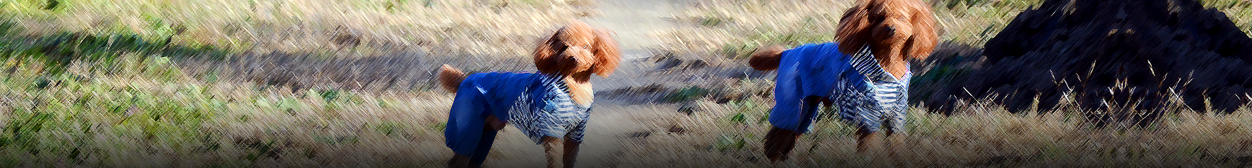 luwh2001的個人主頁（封面預(yù)覽） - 主頁封面設(shè)置 - 站酷設(shè)計師luwh2001原創(chuàng)素材 - 站酷ZCOOL