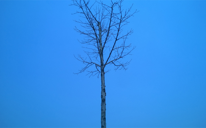 L___的个人主页（封面预览） - 主页封面设置 - 站酷设计师L___原创素材 - 站酷ZCOOL