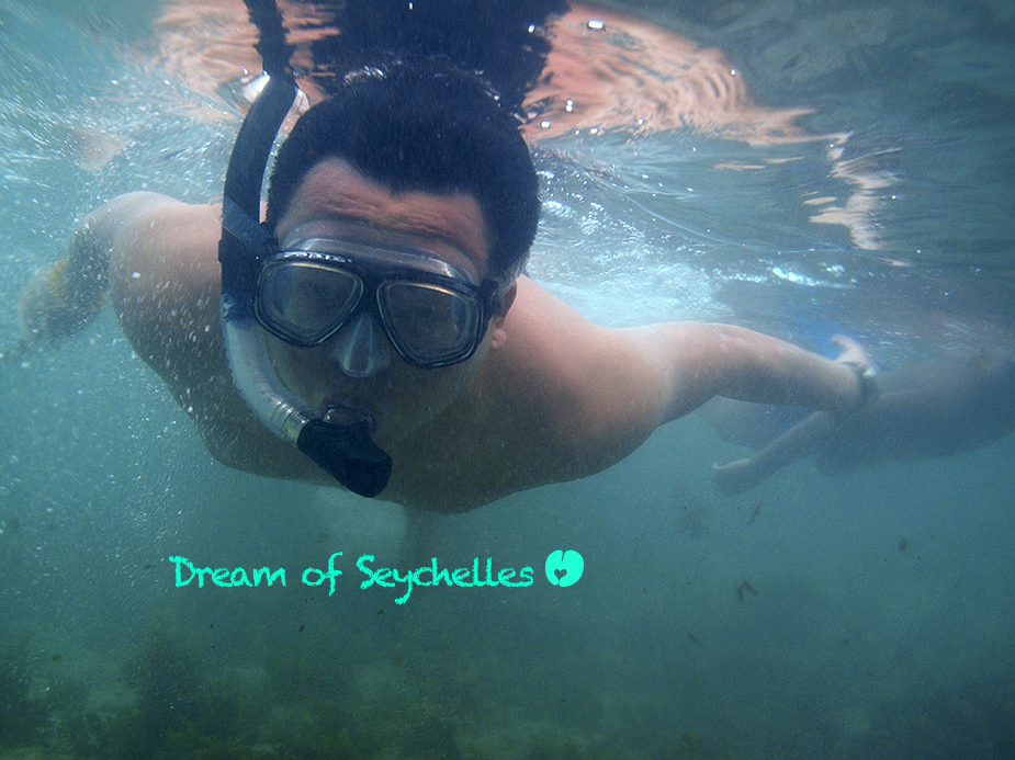 t4587的个人主页（封面预览） - 主页封面设置 - 站酷设计师t4587原创素材 - 站酷ZCOOL