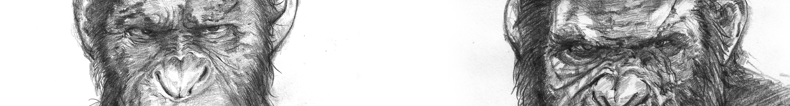 旷野呼求的个人主页（封面预览） - 主页封面设置 - 站酷设计师旷野呼求原创素材 - 站酷ZCOOL