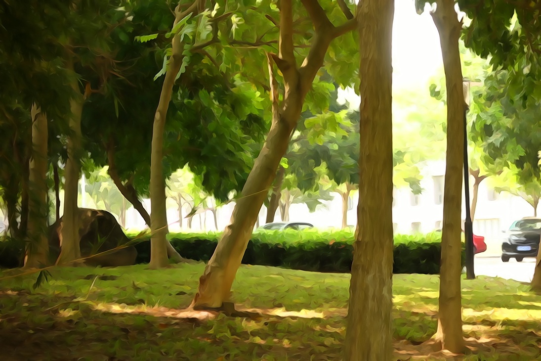 惠荣VS0769的个人主页（封面预览） - 主页封面设置 - 站酷设计师惠荣VS0769原创素材 - 站酷ZCOOL