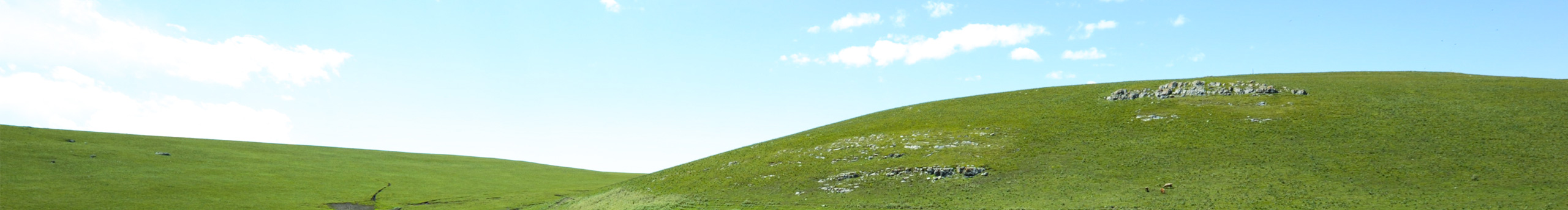 辣条少女丶的个人主页（封面预览） - 主页封面设置 - 站酷设计师辣条少女丶原创素材 - 站酷ZCOOL