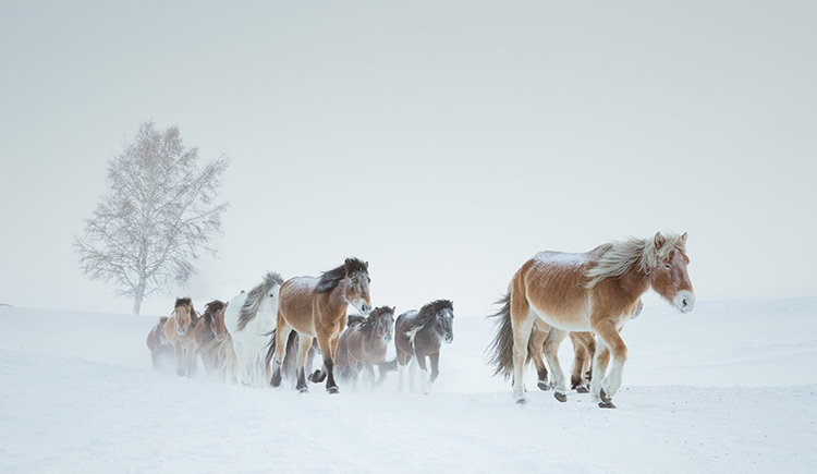 曾朋友的個人主頁（封面預(yù)覽） - 主頁封面設(shè)置 - 站酷設(shè)計師曾朋友原創(chuàng)素材 - 站酷ZCOOL