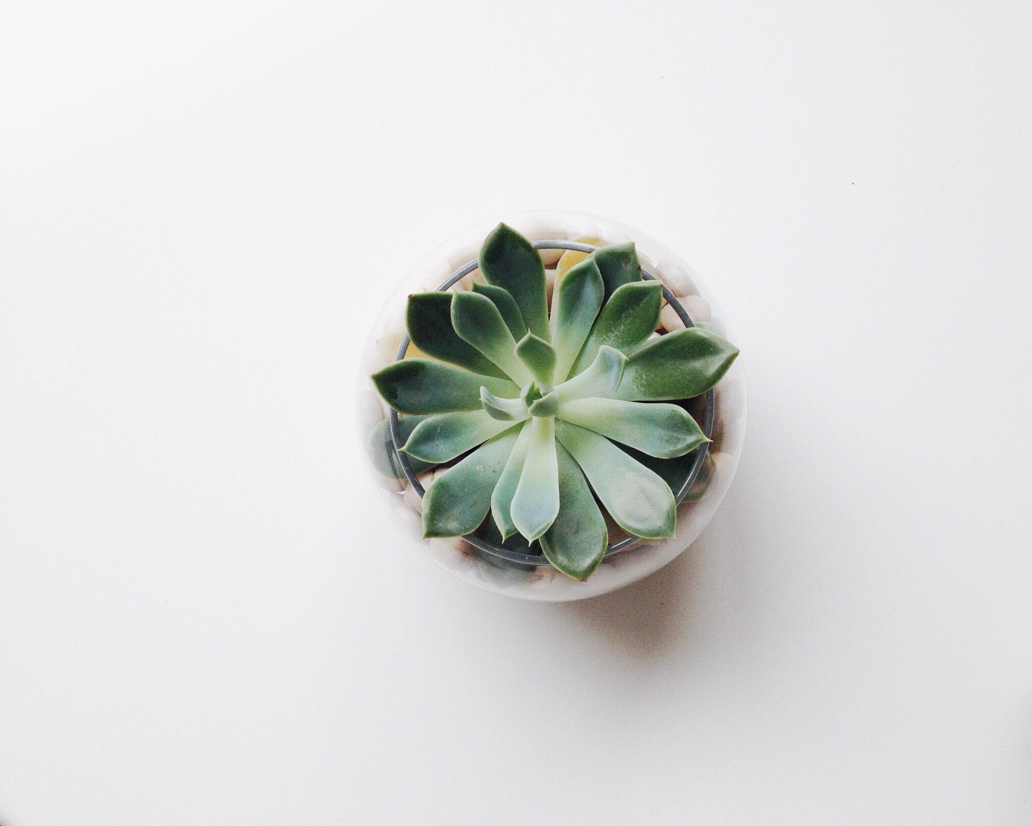 xmosix的个人主页（封面预览） - 主页封面设置 - 站酷设计师xmosix原创素材 - 站酷ZCOOL