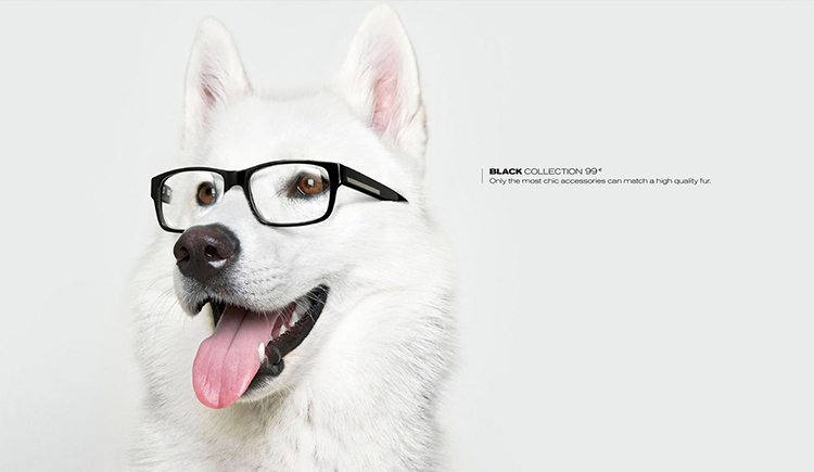 lonevet的個人主頁（封面預覽） - 主頁封面設置 - 站酷設計師lonevet原創(chuàng)素材 - 站酷ZCOOL