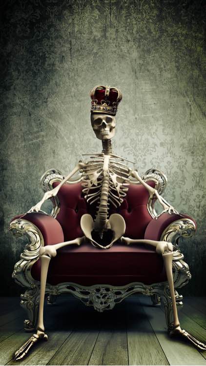 楠木奥拓的个人主页（封面预览） - 主页封面设置 - 站酷设计师楠木奥拓原创素材 - 站酷ZCOOL