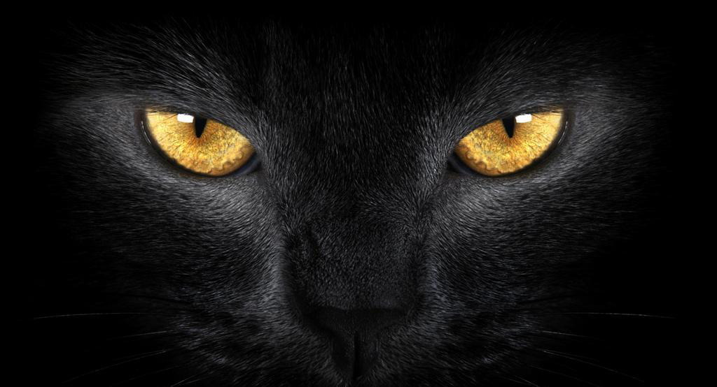 carrie妖的个人主页（封面预览） - 主页封面设置 - 站酷设计师carrie妖原创素材 - 站酷ZCOOL