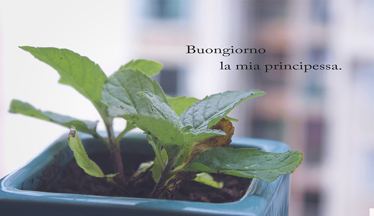 米修司的个人主页（封面预览） - 主页封面设置 - 站酷设计师米修司原创素材 - 站酷ZCOOL