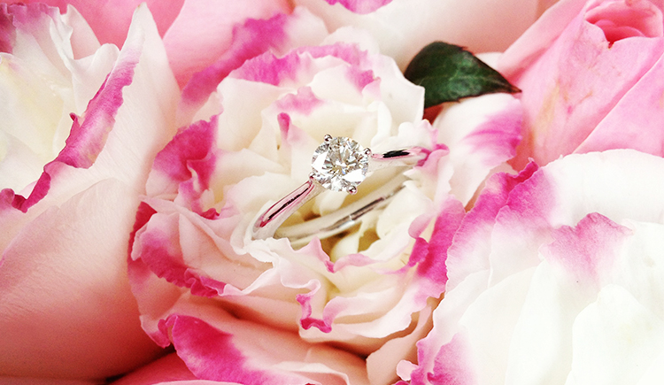 提姆狸的个人主页（封面预览） - 主页封面设置 - 站酷设计师提姆狸原创素材 - 站酷ZCOOL