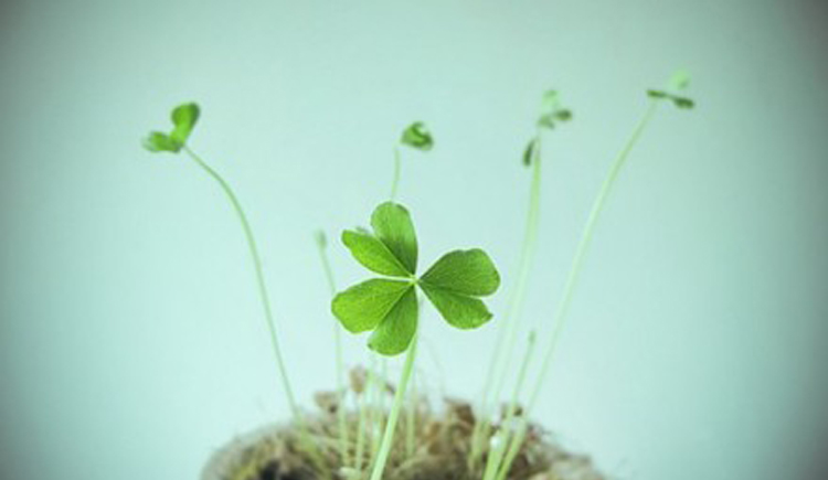 yiyi_zwl的個(gè)人主頁（封面預(yù)覽） - 主頁封面設(shè)置 - 站酷設(shè)計(jì)師yiyi_zwl原創(chuàng)素材 - 站酷ZCOOL