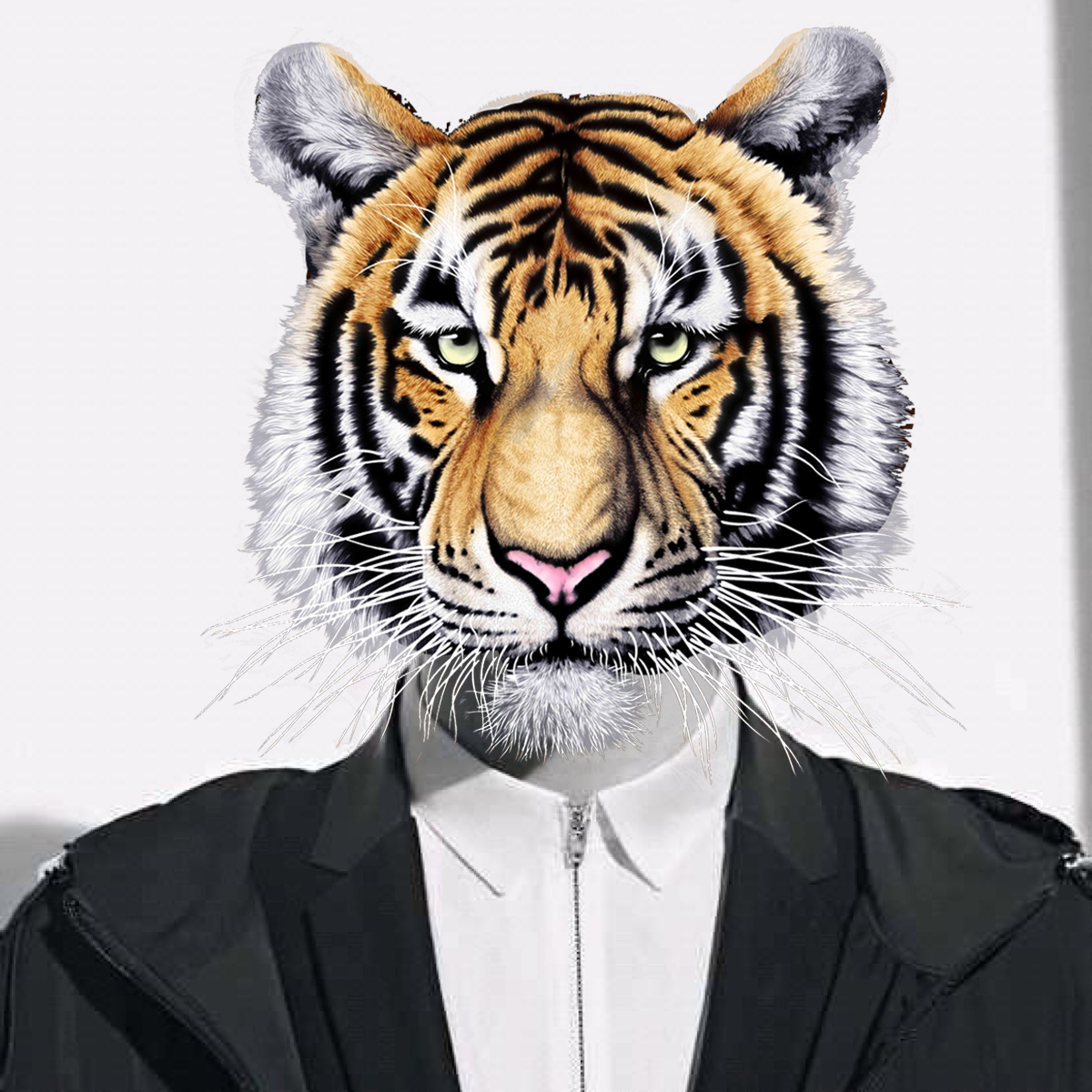 NinetyLi的个人主页（封面预览） - 主页封面设置 - 站酷设计师NinetyLi原创素材 - 站酷ZCOOL