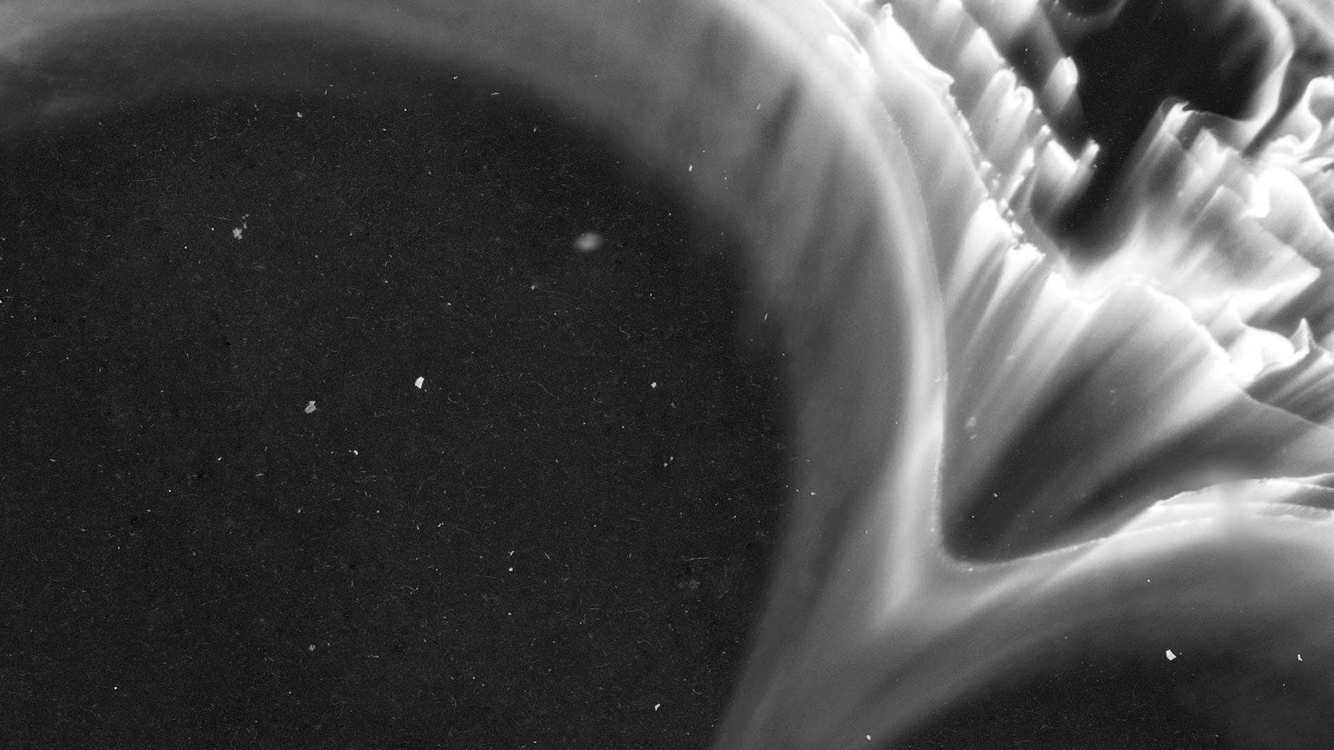 Neoliuxxx的個(gè)人主頁(yè)（封面預(yù)覽） - 主頁(yè)封面設(shè)置 - 站酷設(shè)計(jì)師Neoliuxxx原創(chuàng)素材 - 站酷ZCOOL