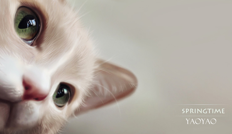 森林里的大猫的个人主页（封面预览） - 主页封面设置 - 站酷设计师森林里的大猫原创素材 - 站酷ZCOOL